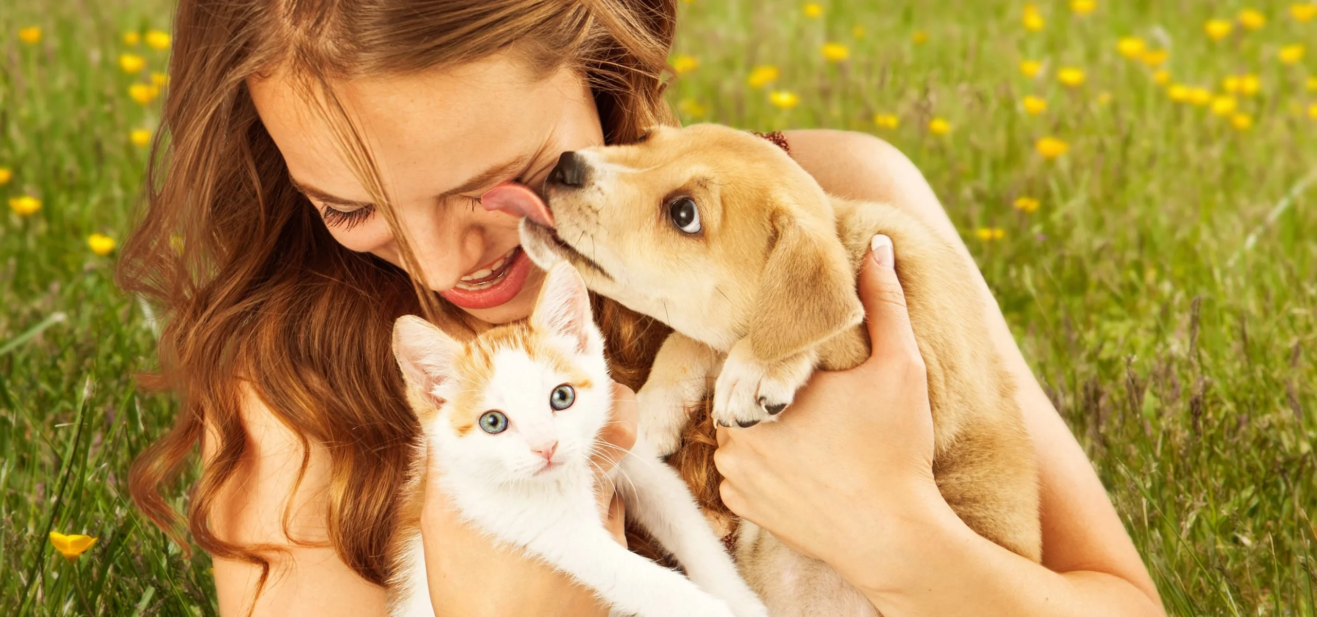 Feliz Dia das Mães!