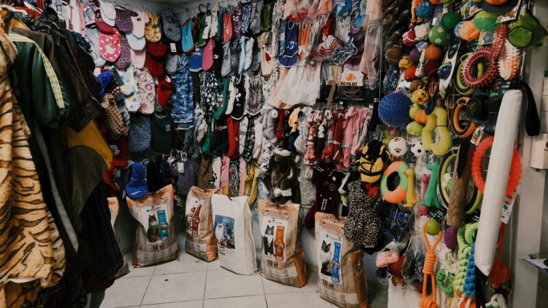 Pet shops e clínicas veterinárias recomendadas no Distrito Federal