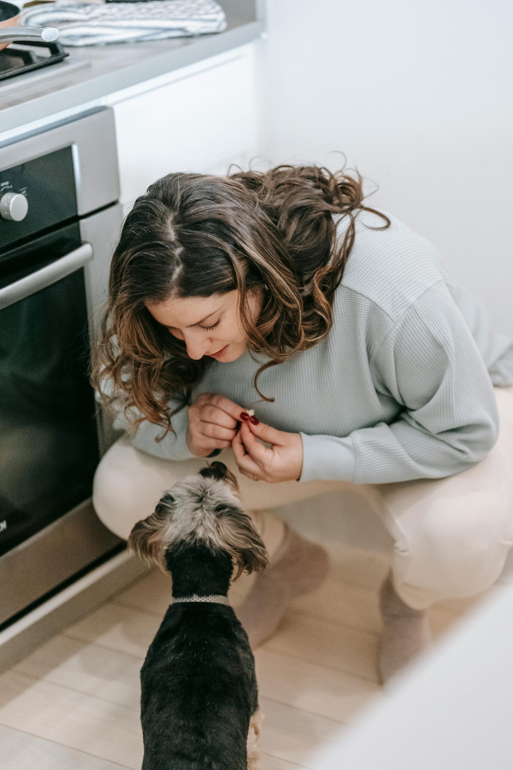 Pet Sitter em Brasília: Quando e Por Que Contratar