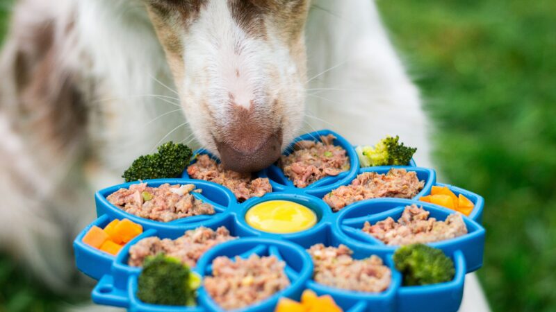 Alimentação Natural: Equilíbrio e Vitaminas Essenciais