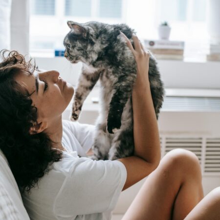 Como Adaptar Brinquedos para Gatos Idosos