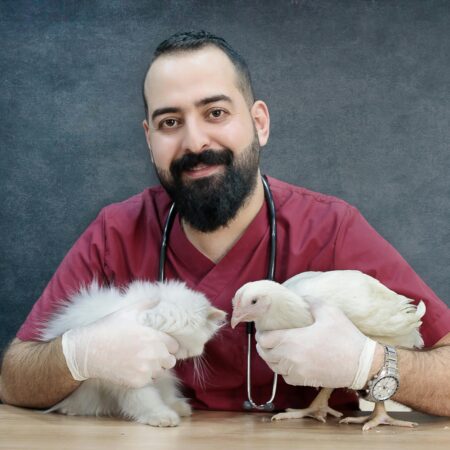 Sinais de insolação em pets: como identificar e agir rápido