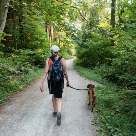 Cuidados com as patas no asfalto quente