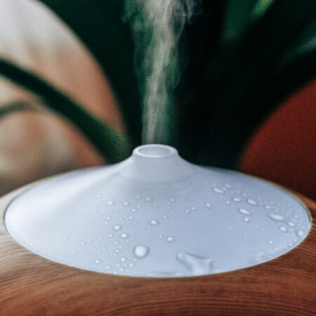 Umidificador para pets: vale a pena ou não?