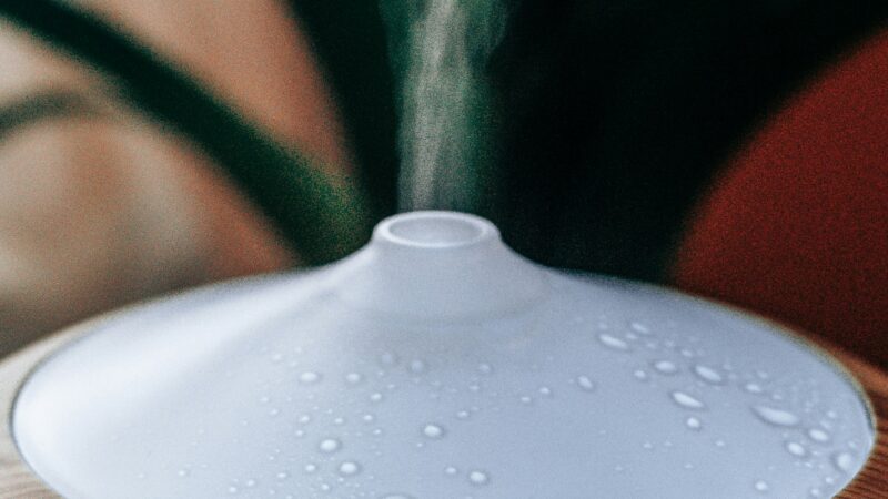 Umidificador para pets: vale a pena ou não?