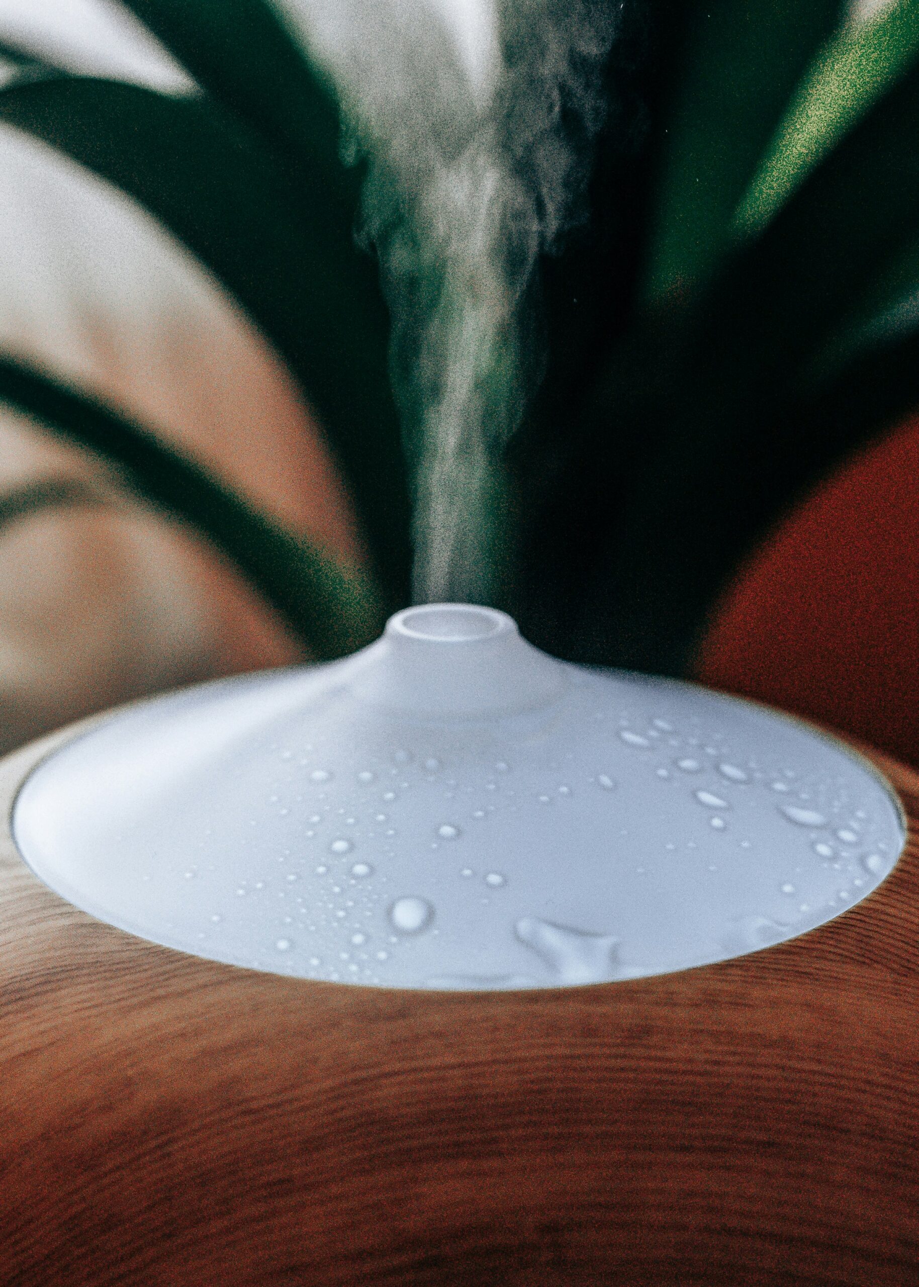 Umidificador para pets: vale a pena ou não?