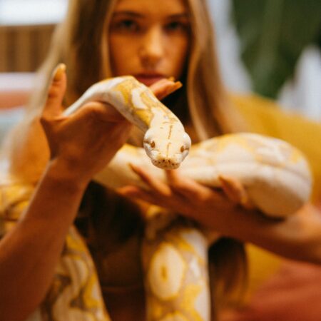 Como os pets ajudam na saúde mental dos tutores