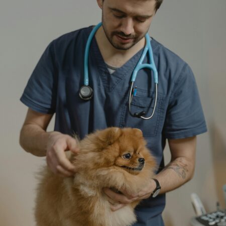 Problemas respiratórios em pets no tempo seco: prevenção
