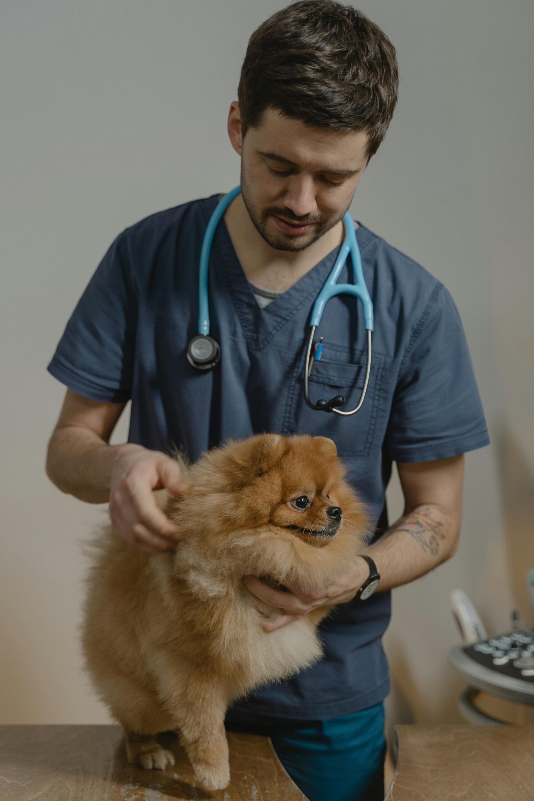 Problemas respiratórios em pets no tempo seco: prevenção