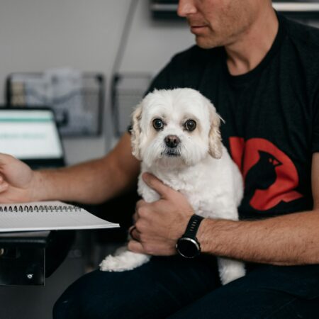Os pets mudaram completamente o conceito de companhia