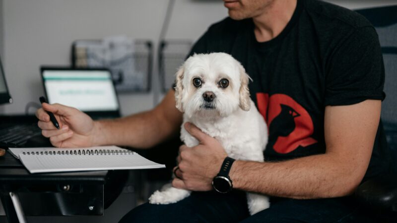 Os pets mudaram completamente o conceito de companhia