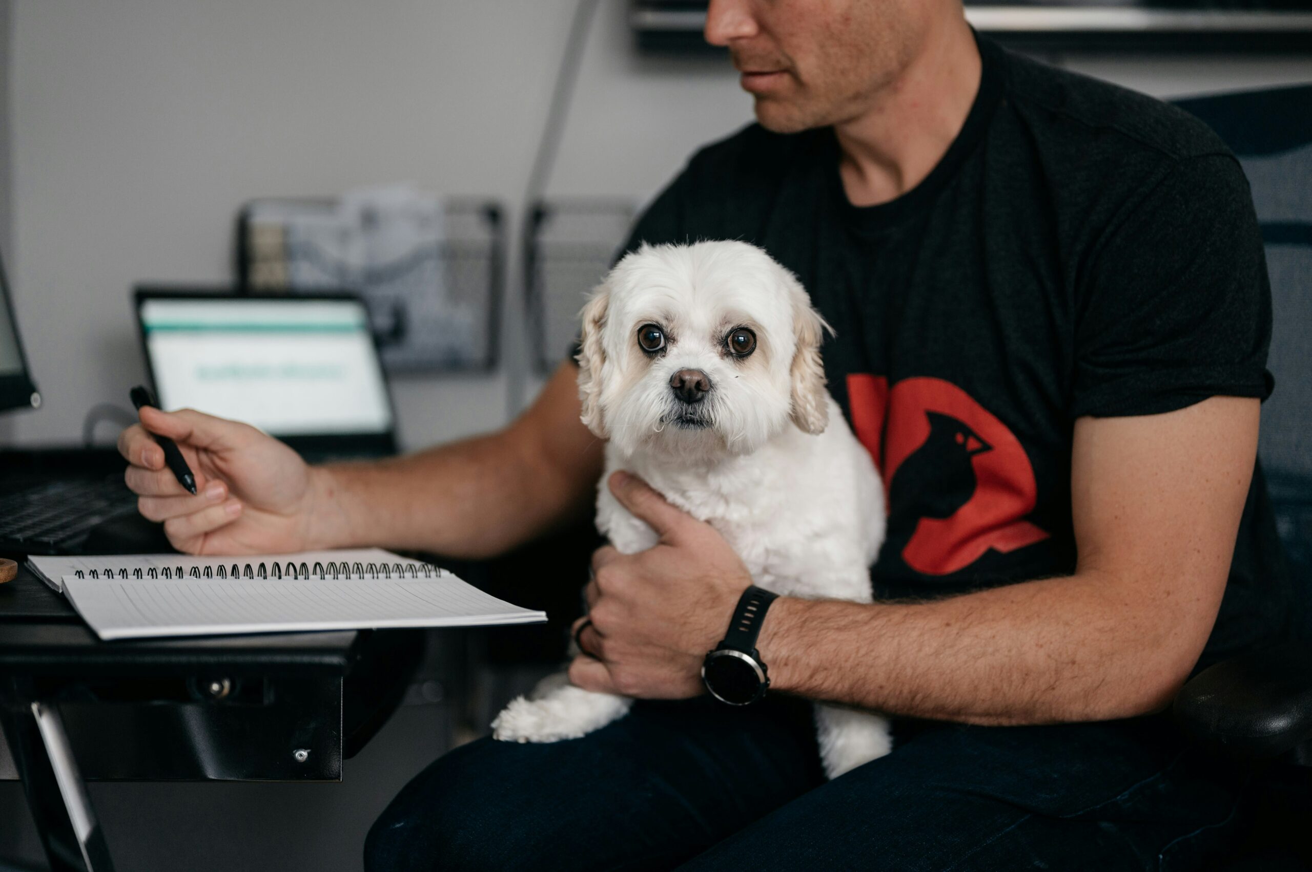 Os pets mudaram completamente o conceito de companhia