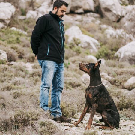 Seu cachorro entende mais palavras do que você imagina