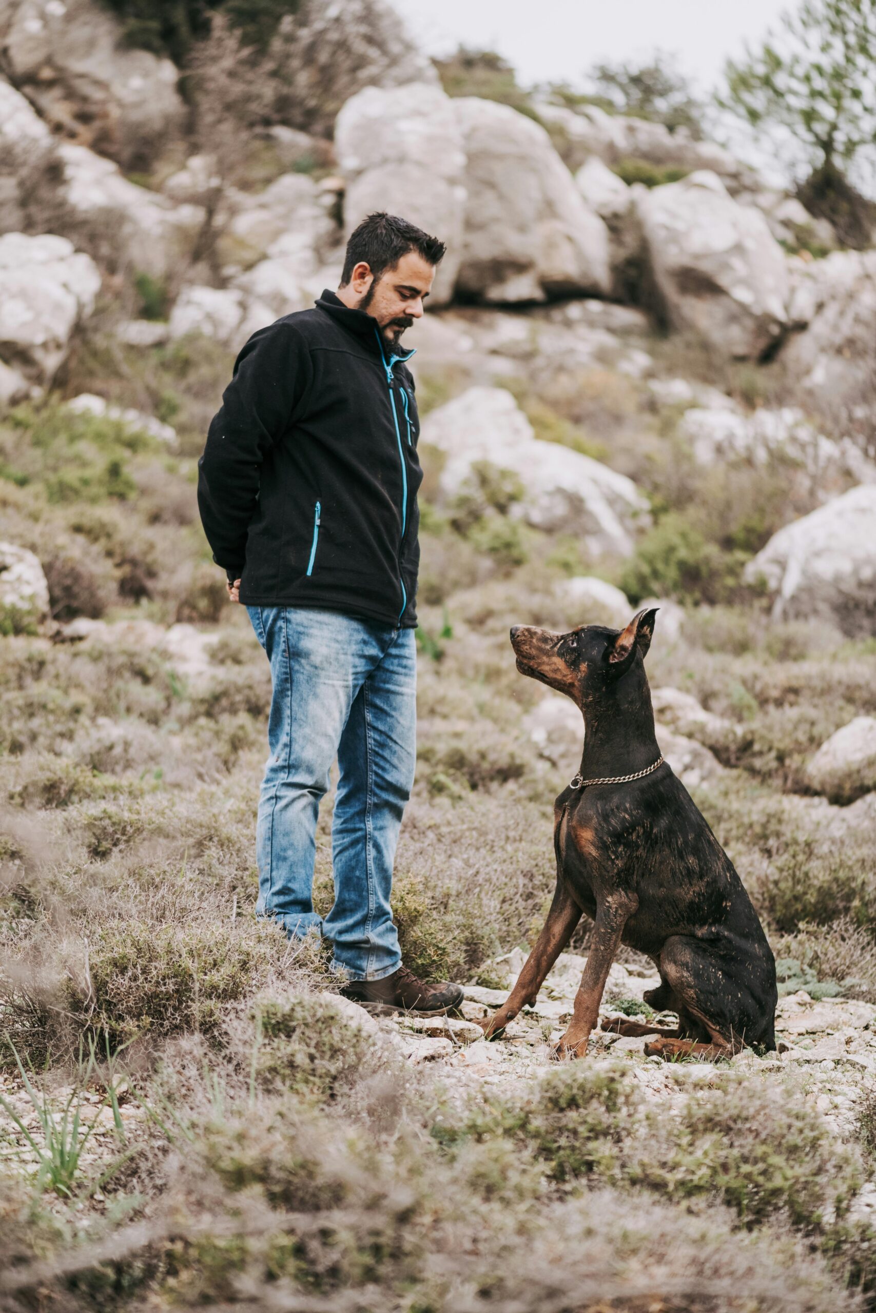 Seu cachorro entende mais palavras do que você imagina