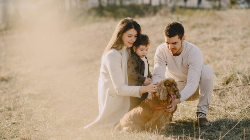 Os pets transformaram a forma como as pessoas enxergam família