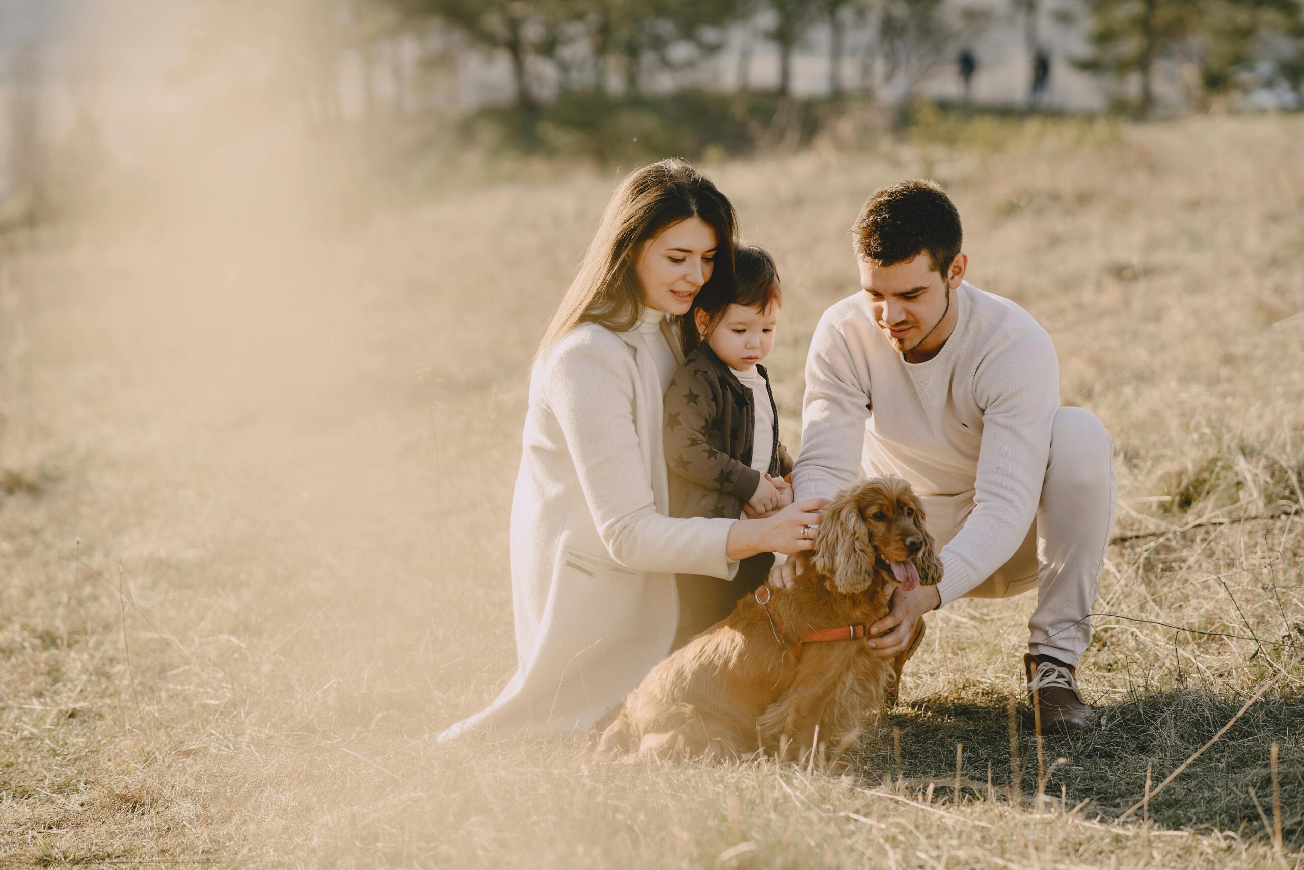Os pets transformaram a forma como as pessoas enxergam família