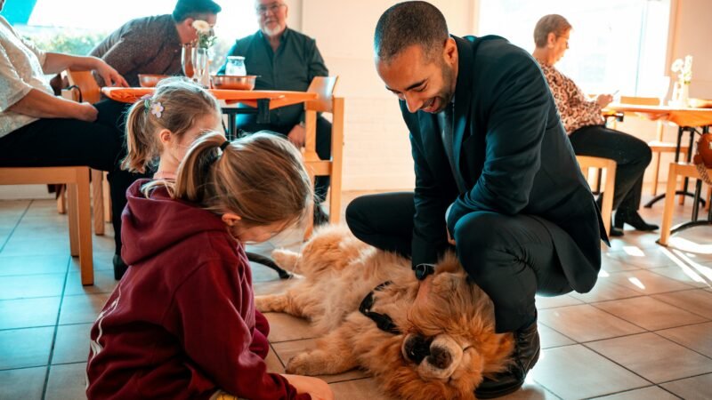 Como os pets reconhecem seus tutores?