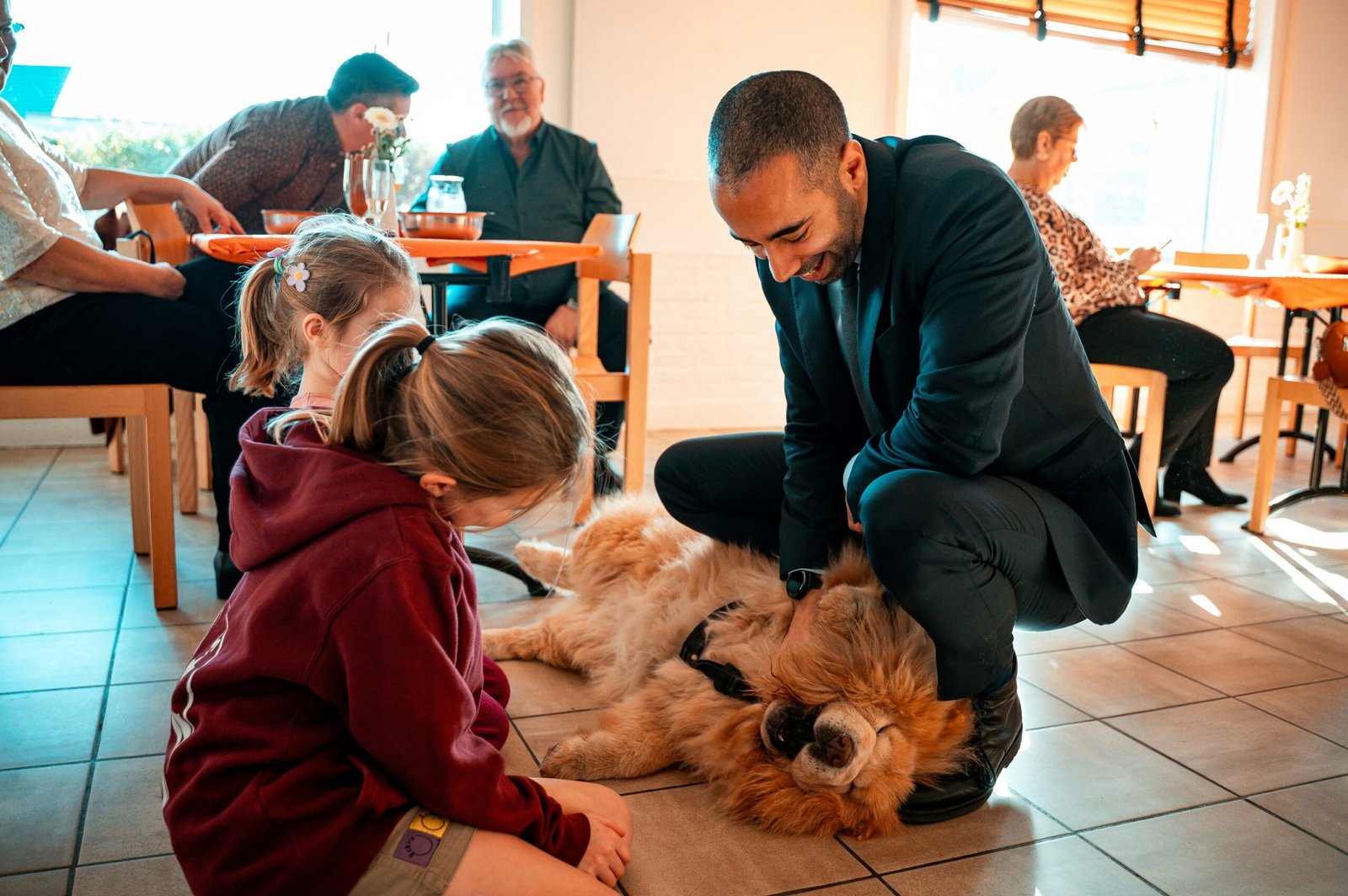 Como os pets reconhecem seus tutores?