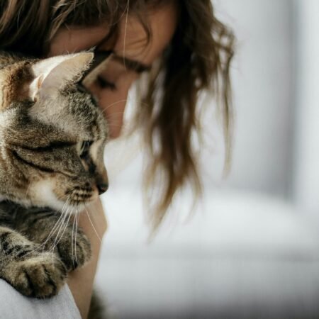 O impacto positivo dos animais na saúde emocional