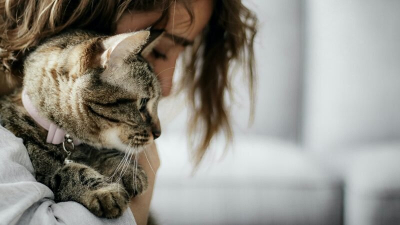 O impacto positivo dos animais na saúde emocional