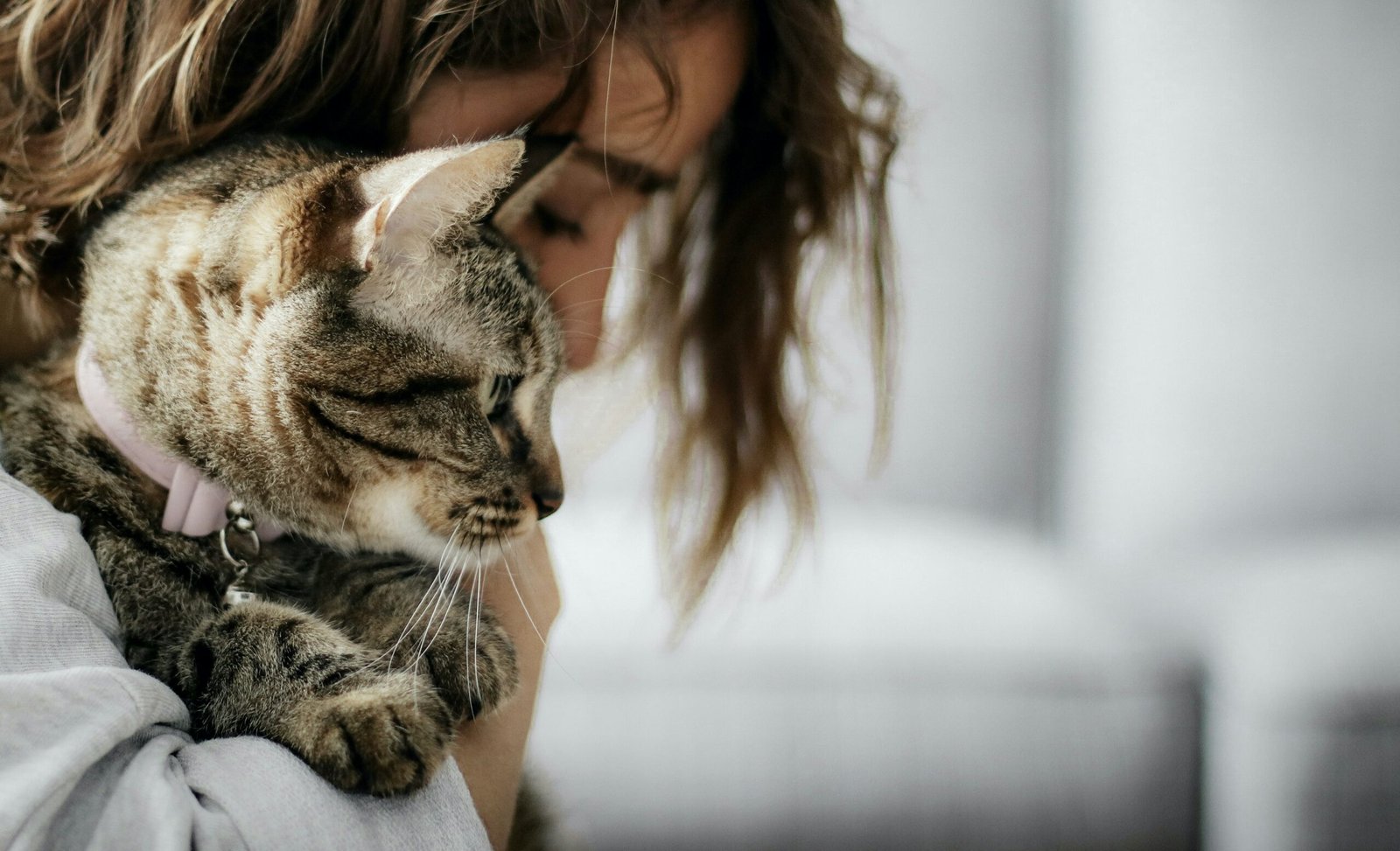 O impacto positivo dos animais na saúde emocional