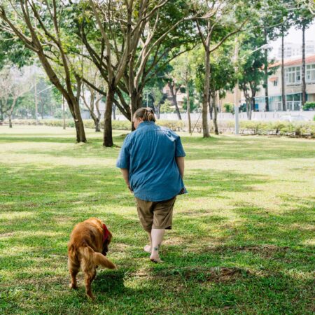Os benefícios dos passeios para além do exercício físico