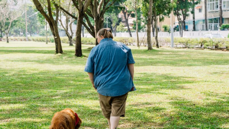 Os benefícios dos passeios para além do exercício físico