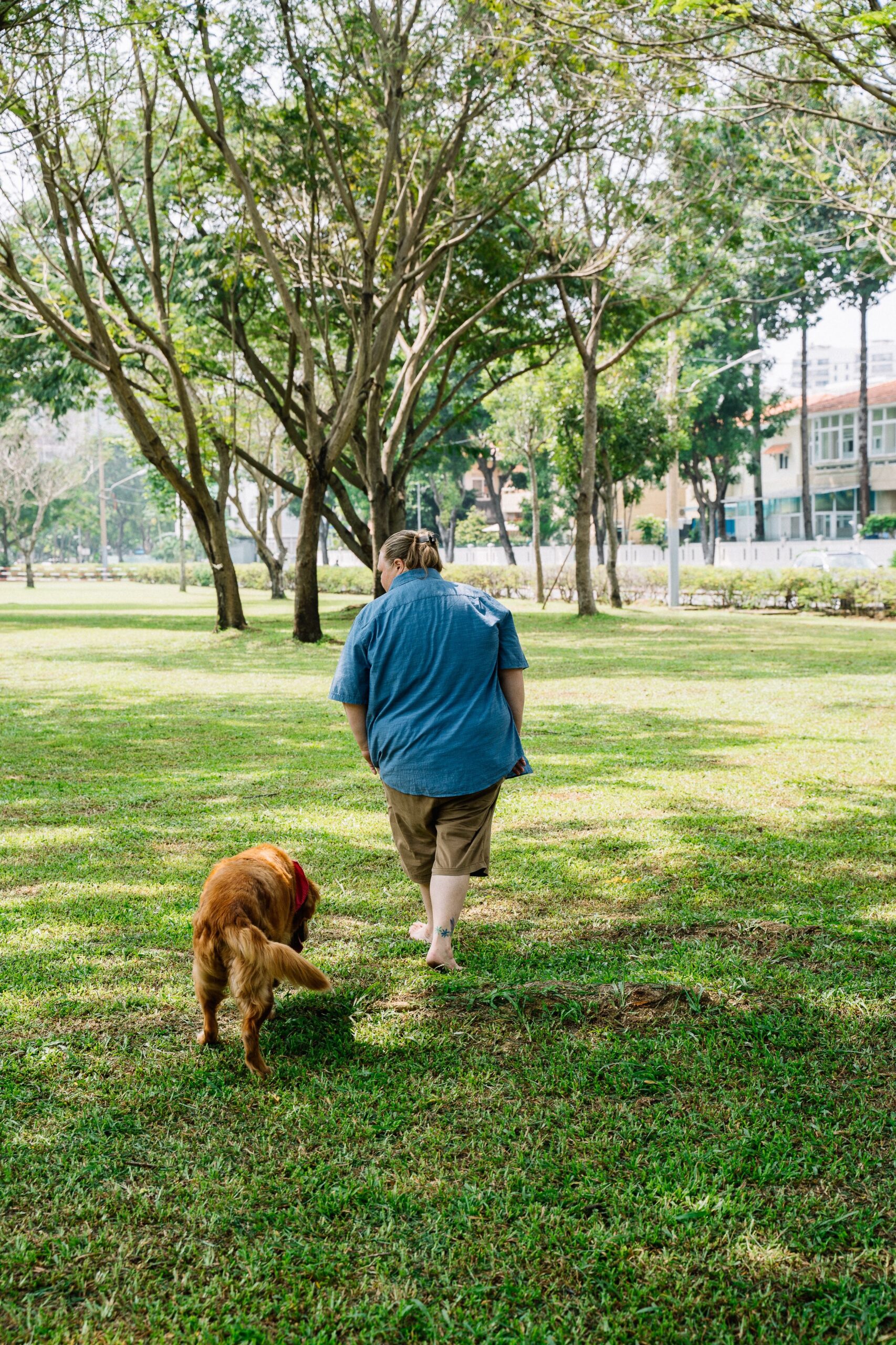 Os benefícios dos passeios para além do exercício físico
