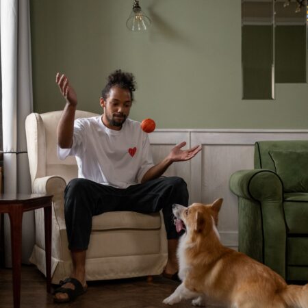 A importância das brincadeiras para a saúde dos pets