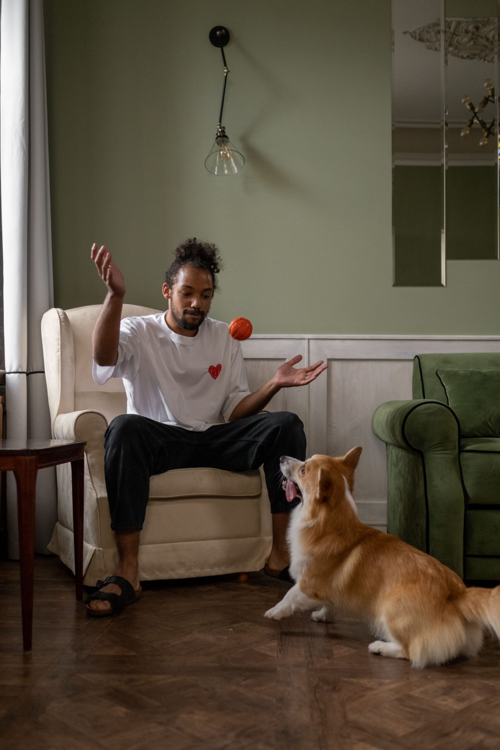 A importância das brincadeiras para a saúde dos pets