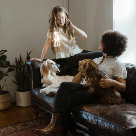 Como os cães conseguem perceber nossas emoções?