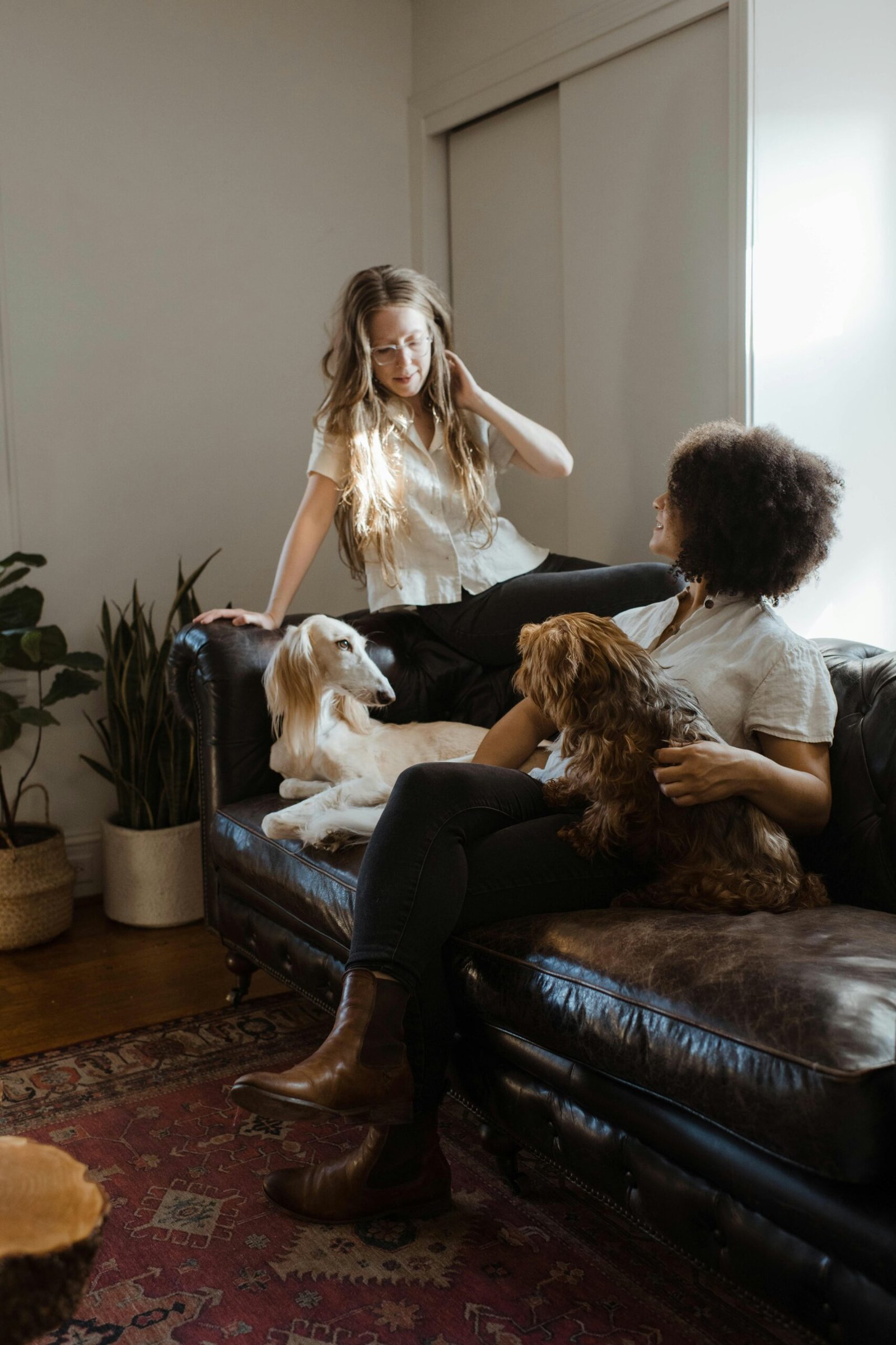 Como os cães conseguem perceber nossas emoções?