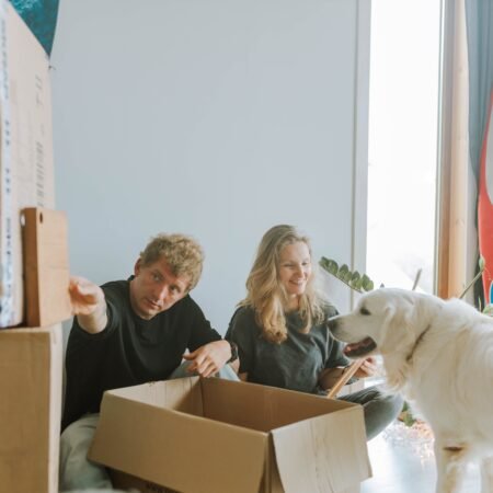 Como mudanças na rotina podem afetar o comportamento dos pets?