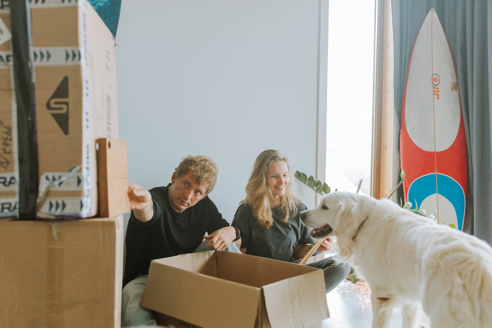 Como mudanças na rotina podem afetar o comportamento dos pets?