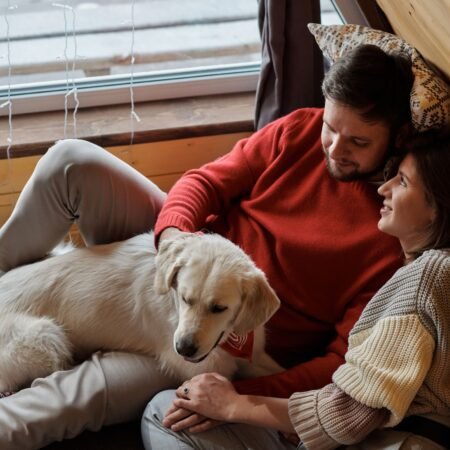 Como saber se o seu cachorro realmente se sente seguro dentro de casa?
