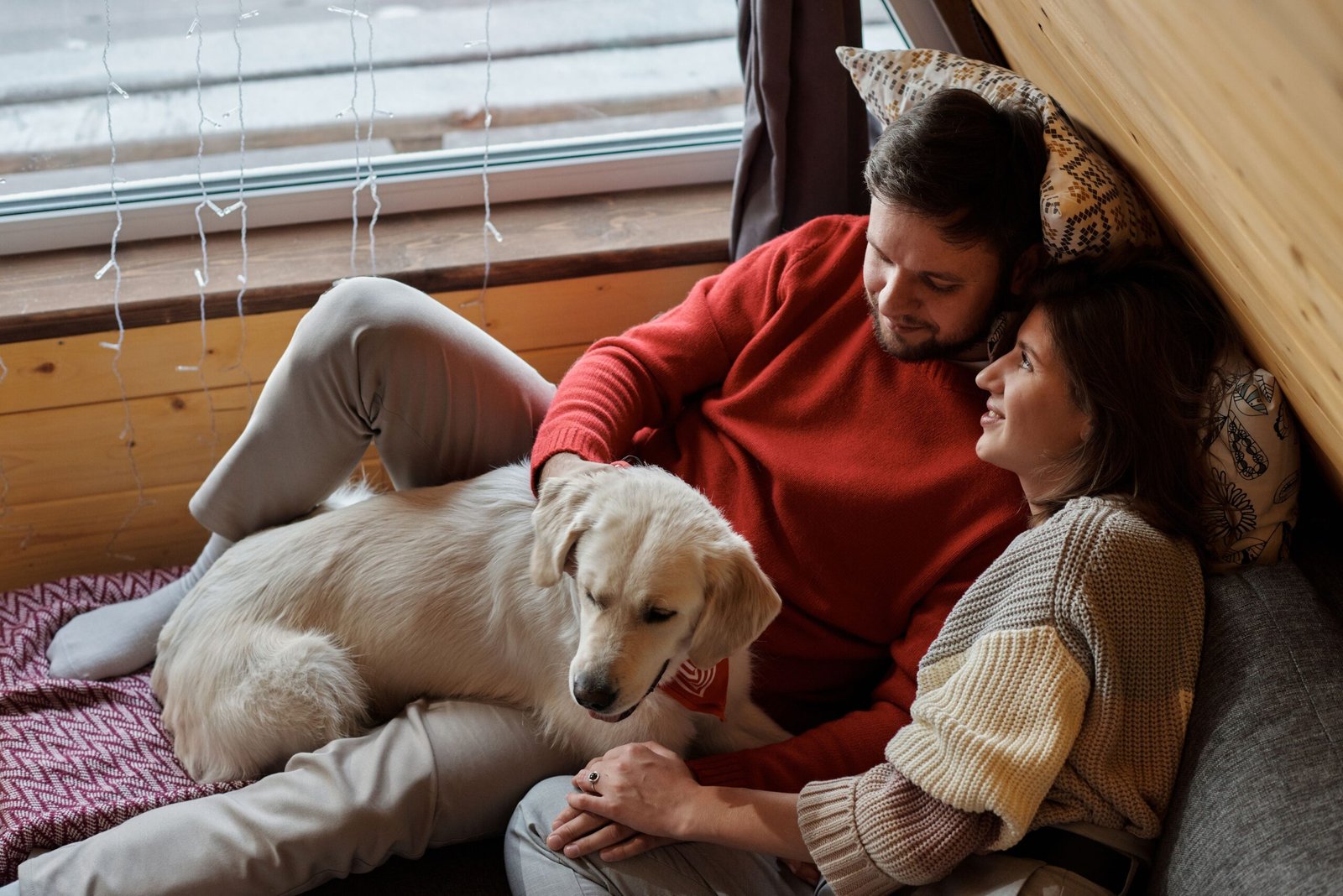 Como saber se o seu cachorro realmente se sente seguro dentro de casa?