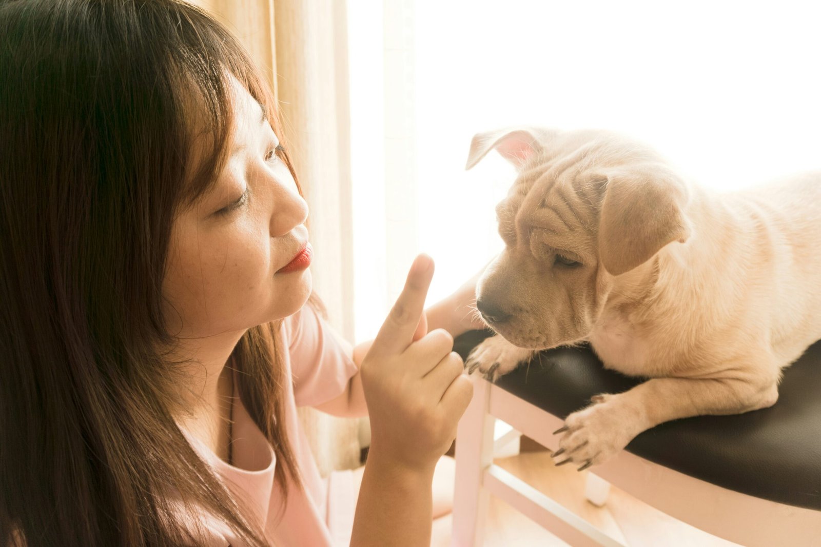 Mudanças de comportamento nos pets: quando vale observar com mais atenção?