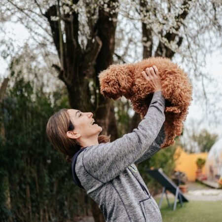 Pequenas atitudes diárias que fortalecem o vínculo entre tutor e pet