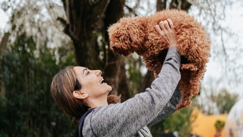 Pequenas atitudes diárias que fortalecem o vínculo entre tutor e pet